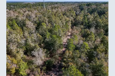 Xx-03 E St Highway 20 E, Ponce de Leon, FL 32455 - Photo 7