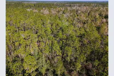 Xx-004 E St Highway 20 E, Ponce de Leon, FL 32455 - Photo 9