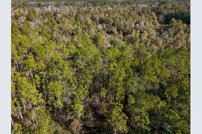 Xx-004 E St Highway 20 E, Ponce de Leon, FL 32455 - Photo 11