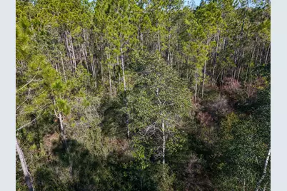 Xx-006 E St Highway 20 E, Ponce de Leon, FL 32455 - Photo 13