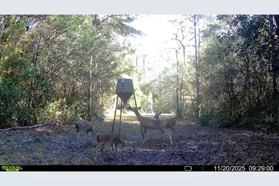 Parcel A Sunburst Drive, Crestview, FL 32539 - Photo 5