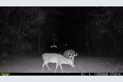 Parcel A Sunburst Drive, Crestview, FL 32539 - Photo 11