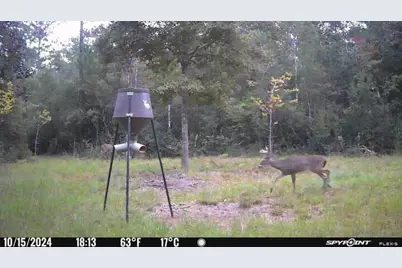 Parcel A Sunburst Drive, Crestview, FL 32539 - Photo 9