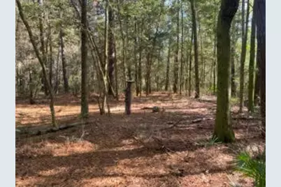 Parcel A Sunburst Drive, Crestview, FL 32539 - Photo 29