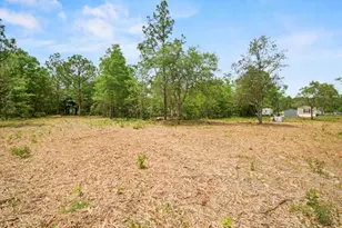 11547 Bliss Way, Milton, FL 32583 - Photo 9