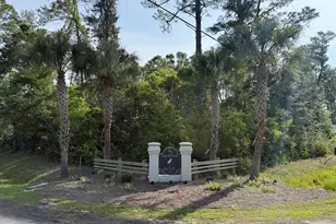Lot 25 E Point Washington Road E, Santa Rosa Beach, FL 32459 - Photo 1