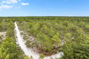 135 Gulfview Cir, Santa Rosa Beach, FL 32459 - Photo 43