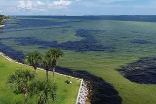 101 Old Ferry Rd, Shalimar, FL 32579 - Photo 33