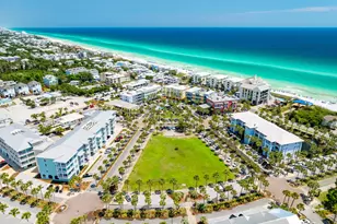 1317 N Co Hwy 393 N, Santa Rosa Beach, FL 32459 - Photo 41