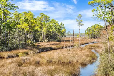 1317 N Co Highway 393 N, Santa Rosa Beach, FL 32459 - Photo 5