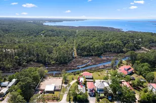 1429 N County Hwy 393 N, Santa Rosa Beach, FL 32459 - Photo 43