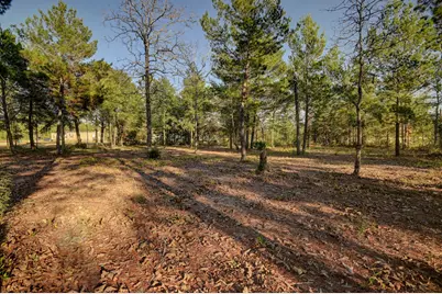 5256 Mt. Olive Road, Crestview, FL 32539 - Photo 59