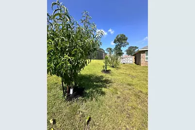 3041 Crown Creek Circle, Crestview, FL 32539 - Photo 53