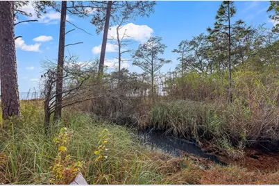 7819 State Highway 20, Freeport, FL 32439 - Photo 41