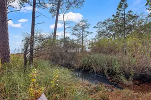 7819 State Hwy 20, Freeport, FL 32439 - Photo 41