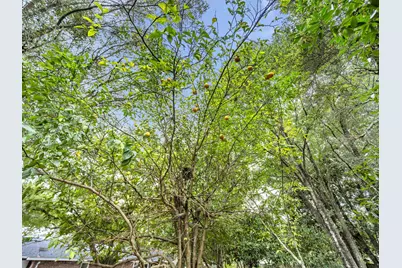 425 Stahlman Avenue, Destin, FL 32541 - Photo 51