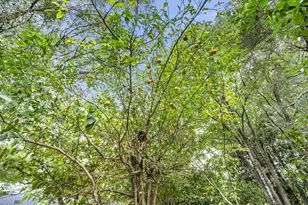 425 Stahlman Ave, Destin, FL 32541 - Photo 51