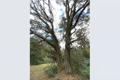 627 E Ditmar Street E, Pensacola, FL 32503 - Photo 17