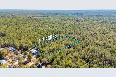 Xx Jim Cotton Drive, Defuniak Springs, FL 32433 - Photo 3