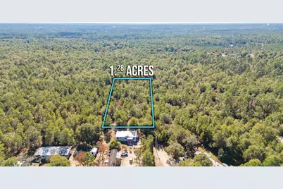 Xx Jim Cotton Drive, Defuniak Springs, FL 32433 - Photo 1