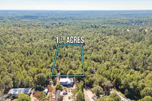 Xx Jim Cotton Dr, Defuniak Springs, FL 32433 - Photo 1