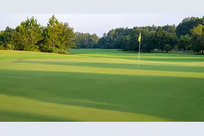 64 S Splash Drive S #Lot 42, Watersound, FL 32461 - Photo 5