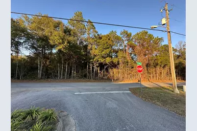 Tbd E Chestnut Avenue, Crestview, FL 32539 - Photo 11