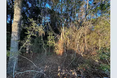 Tbd E Chestnut Avenue, Crestview, FL 32539 - Photo 3