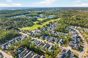 102 Firefly Way, Watersound, FL 32461 - Photo 45