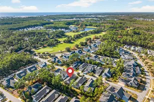 102 Firefly Way, Watersound, FL 32461 - Photo 47