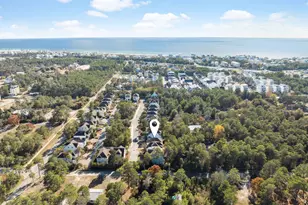 76 Sandpine Loop, Inlet Beach, FL 32461 - Photo 33