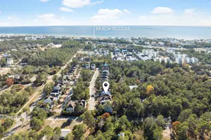 76 Sandpine Loop, Inlet Beach, FL 32461 - Photo 35