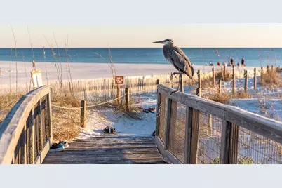 Lot 188 Sextant Lane, Santa Rosa Beach, FL 32459 - Photo 11