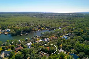 325 Botany Blvd, Santa Rosa Beach, FL 32459 - Photo 43