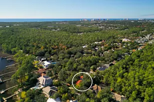 325 Botany Blvd, Santa Rosa Beach, FL 32459 - Photo 41