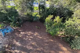 6 E Trigger Trail E, Inlet Beach, FL 32461 - Photo 25