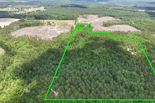 258 Briar Rd, Defuniak Springs, FL 32433 - Photo 1