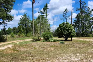 258 Briar Rd, Defuniak Springs, FL 32433 - Photo 27