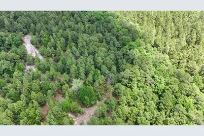 258 Briar Road, Defuniak Springs, FL 32433 - Photo 19