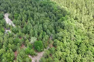 258 Briar Rd, Defuniak Springs, FL 32433 - Photo 19