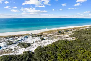 107 Pine Cone Trl, Inlet Beach, FL 32461 - Photo 57