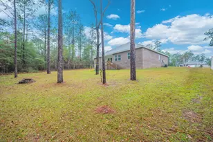 6737 Sarah Ann Way, Laurel Hill, FL 32567 - Photo 37
