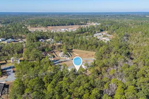 6737 Sarah Ann Way, Laurel Hill, FL 32567 - Photo 47