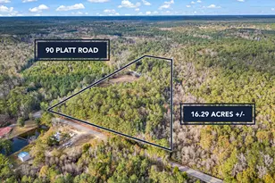 90 Platt Rd, Defuniak Springs, FL 32435 - Photo 3