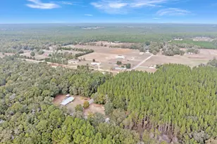 4780 Griffith Rd, Holt, FL 32564 - Photo 9