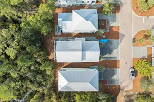 345 Dolphin Dr, Santa Rosa Beach, FL 32459 - Photo 67