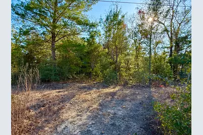 Lot 6 Blk 14 E Tiger Lily Lane, Defuniak Springs, FL 32433 - Photo 7