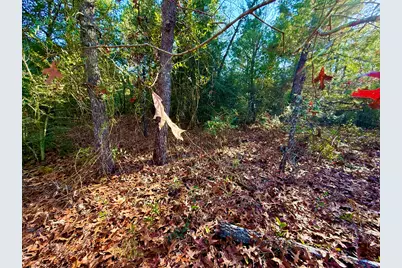 Lot 6 Blk 14 E Tiger Lily Lane, Defuniak Springs, FL 32433 - Photo 5