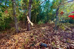 Lot 6 Blk 14 E Tiger Lily Ln, Defuniak Springs, FL 32433 - Photo 5