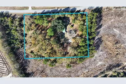 1341 Hwy 185, Westville, FL 32464 - Photo 5